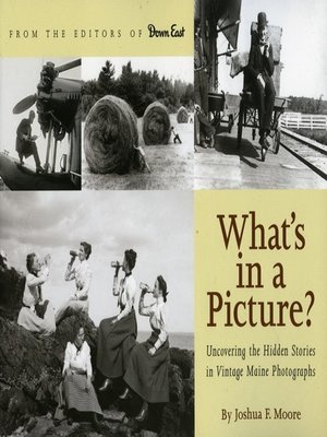 cover image of What's in a Picture?